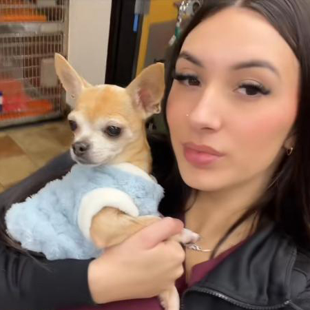 TikTok網(wǎng)紅推廣:美國寵物護理達人博主推薦