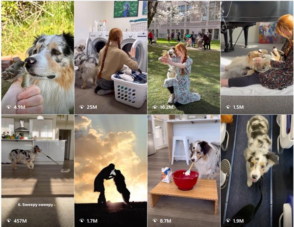 美國200多萬粉絲的寵物達人博主頻道內(nèi)容