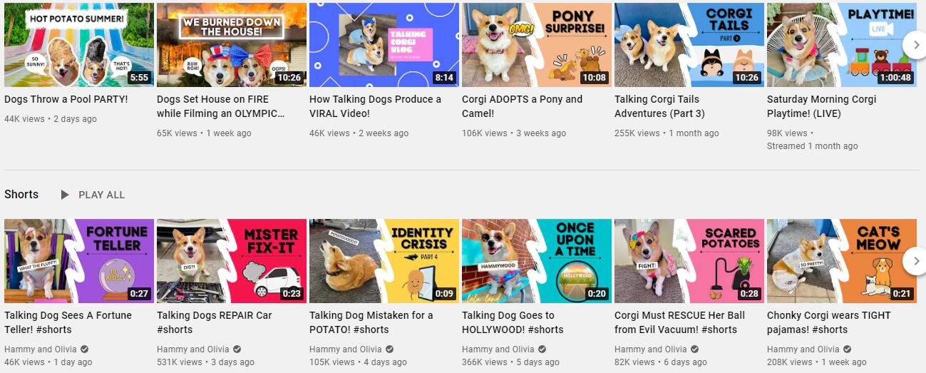 20210406 視頻2-Nowtech