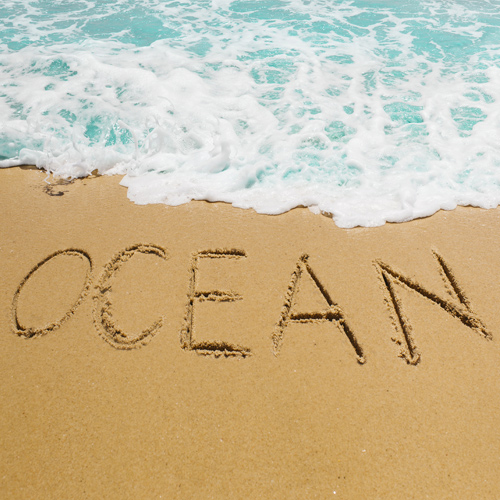 品牌出海一般多久能見到效益？