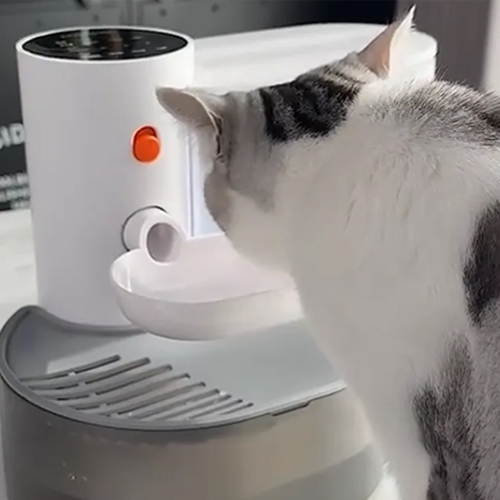 2025年海外寵物經(jīng)濟(jì)持續(xù)火爆，寵物用品出海大有可為