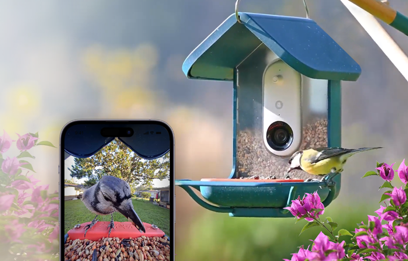 海外觀鳥經(jīng)濟(jì)爆發(fā)！智能喂鳥器撬動千億市場