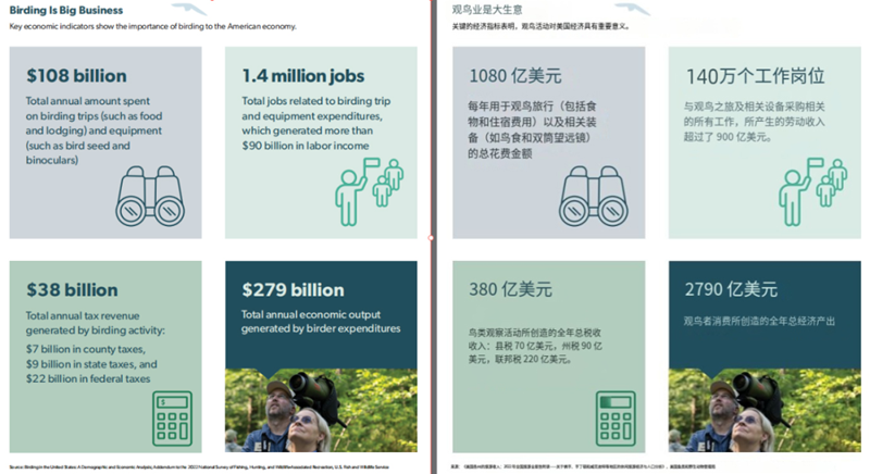 海外觀鳥經(jīng)濟(jì)爆發(fā)！智能喂鳥器撬動千億市場