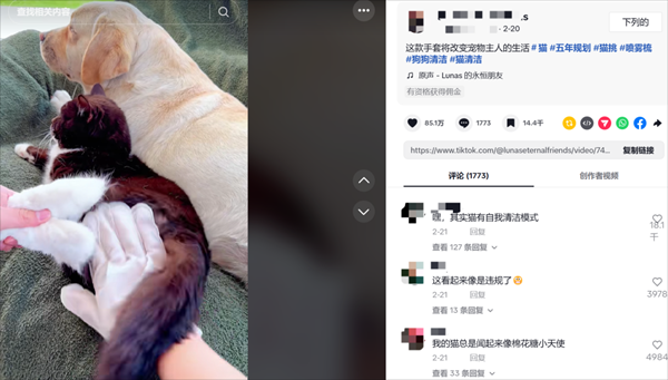 細(xì)分賽道產(chǎn)品如何在TikTok賣火賣爆？