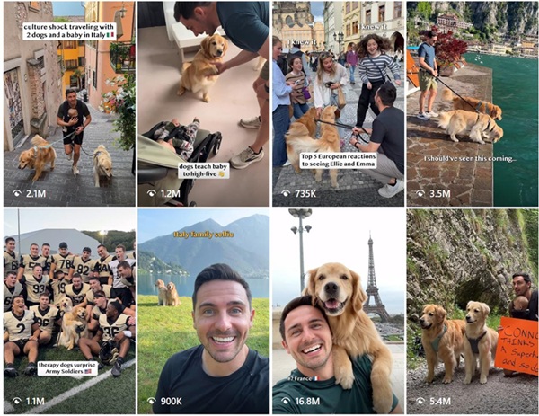 instagram美國旅行寵物博主頻道內(nèi)容