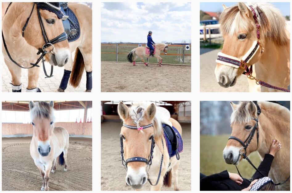 20210409 頻道-Kevin Hejnas