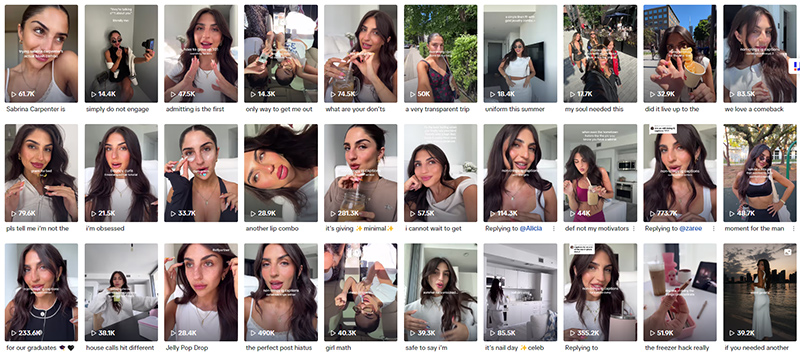 加拿大tiktok生活類網(wǎng)紅帶貨博主頻道