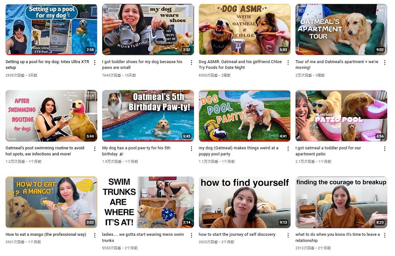 美國寵物狗狗類型宣傳博主達(dá)人頻道