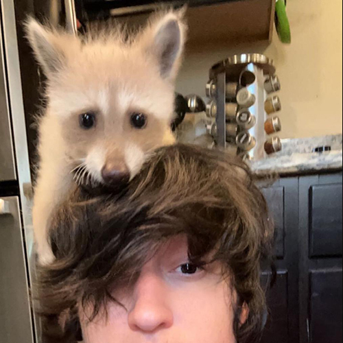 美國寵物智能設備和寵物用品宣傳博