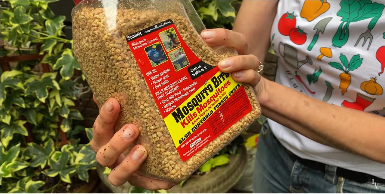 YouTube紅人數(shù)據(jù)