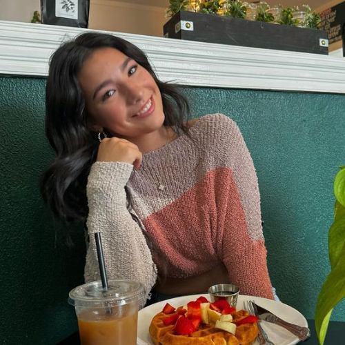 Tik Tok紅人推廣：k***h｜美國 美妝