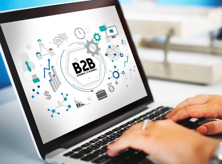 b2b海外網(wǎng)紅營(yíng)銷