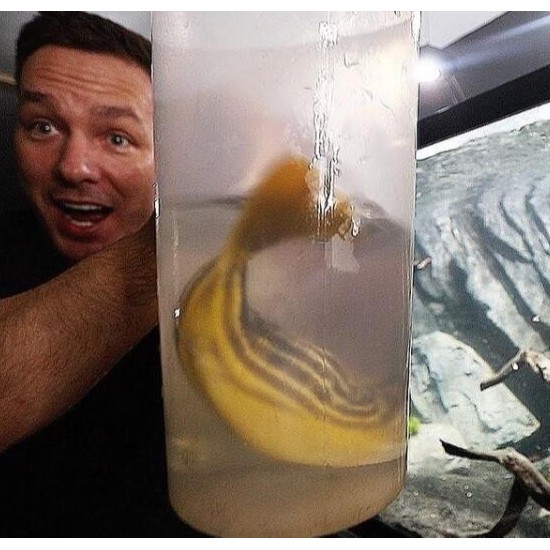 如何成功合作與管理海外網(wǎng)紅（了解成功合作和管理海外網(wǎng)紅的關(guān)鍵要素）