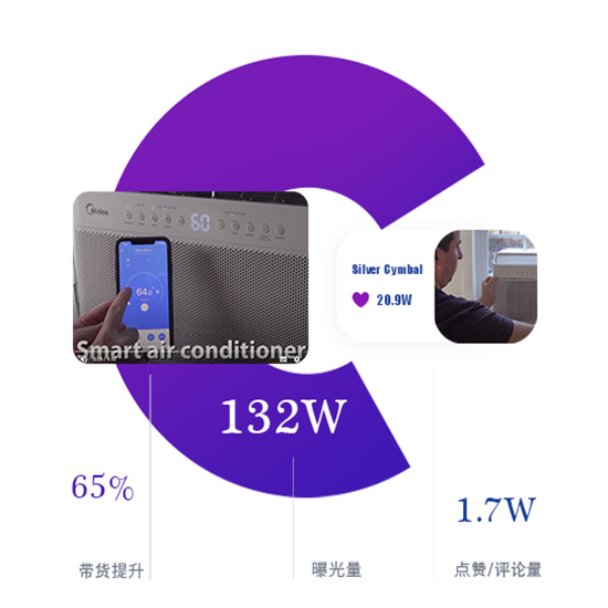 網(wǎng)紅營銷案例