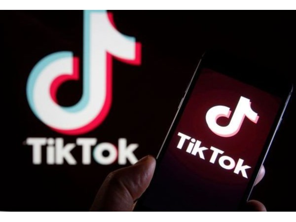 TikTok網(wǎng)紅營銷